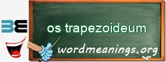WordMeaning blackboard for os trapezoideum